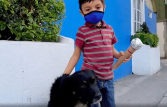 Santi, el niño reportero de los perritos de la calle
