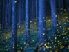El bosque de las luciérnagas abrirá en verano