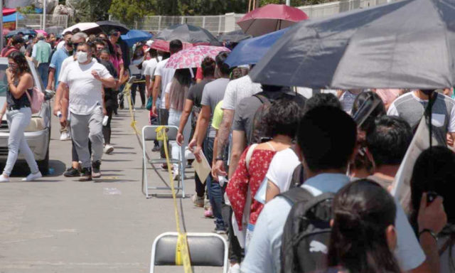 vacunas a madero