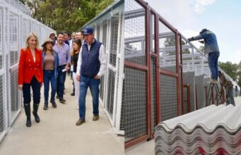 Impulsa Huixquilucan rescate de 500 perritos abandonados