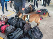 Operativos ‘Mochila Segura’ regresarán al Estado de México tras aprobación legislativa