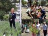 Planta Huixquilucan 20 mil árboles para reforestar municipio