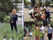 Planta Huixquilucan 20 mil árboles para reforestar municipio