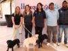 Adoptan a más de 50 lomitos en Huixquilucan gracias a centro “Huixquican”