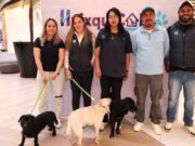 Adoptan a más de 50 lomitos en Huixquilucan gracias a centro “Huixquican”
