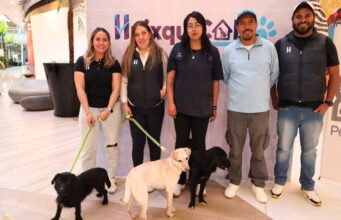 Adoptan a más de 50 lomitos en Huixquilucan gracias a centro “Huixquican”