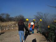 Incendio forestal en Monte Albán, Oaxaca, no afecta zona de monumentos