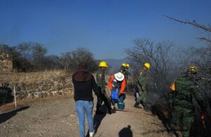 Incendio forestal en Monte Albán, Oaxaca, no afecta zona de monumentos