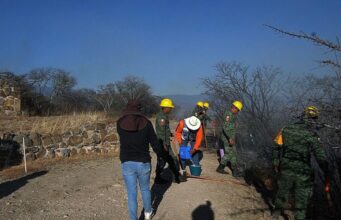 Incendio forestal en Monte Albán, Oaxaca, no afecta zona de monumentos