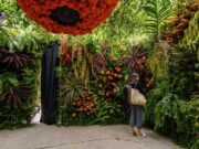 CDMX Presenta el Festival de las Flores y Jardines 2025 con Arreglos Futuristas y Entrada Libre