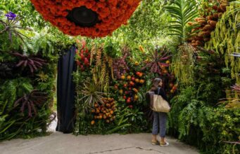 CDMX Presenta el Festival de las Flores y Jardines 2025 con Arreglos Futuristas y Entrada Libre