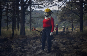 Comités de Manejo del Fuego defienden los bosques mexiquenses Descubre cómo los nuevos Comités de Manejo del Fuego buscan proteger los bosques en el Estado de México.