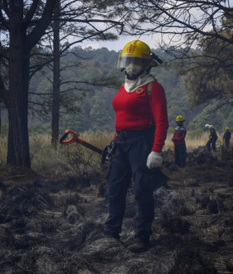 Comités de Manejo del Fuego defienden los bosques mexiquenses Descubre cómo los nuevos Comités de Manejo del Fuego buscan proteger los bosques en el Estado de México.