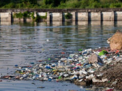 Congreso aprueba penas de hasta 25 años por daños al medio ambiente La nueva legislación en el Estado de México establece penas severas por delitos ambientales, promoviendo la protección ecológica.