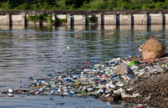 Congreso aprueba penas de hasta 25 años por daños al medio ambiente La nueva legislación en el Estado de México establece penas severas por delitos ambientales, promoviendo la protección ecológica.
