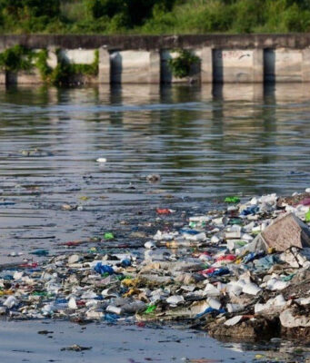 Congreso aprueba penas de hasta 25 años por daños al medio ambiente La nueva legislación en el Estado de México establece penas severas por delitos ambientales, promoviendo la protección ecológica.