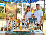 UAEMéx impulsa el sector mezcalero en Ixtapan de la Sal Expertos y productores discuten el futuro del mezcal en el 12° Foro Regional de Agave en el Estado de México.