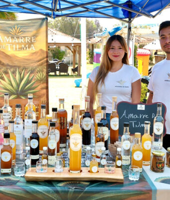 UAEMéx impulsa el sector mezcalero en Ixtapan de la Sal Expertos y productores discuten el futuro del mezcal en el 12° Foro Regional de Agave en el Estado de México.