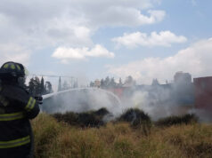Toluca prohibirá quemas agrícolas con multas de hasta 117 mil pesos Las nuevas sanciones por quemas agrícolas en Toluca preocupan a agricultores y ambientalistas. Descubre los detalles.
