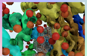 El bioarte de Eduardo González fusiona ciencia y creatividad Descubre cómo el bioarte de Eduardo González desafía las fronteras entre ciencia y arte en creaciones únicas.