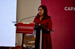 Rosi Wong y su impacto en la cultura de Tecámac Rosi Wong posiciona a Tecámac como un referente cultural y social a través de eventos significativos y colaborativos.