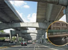 Perrito corre en segundo piso del Periférico y genera alarma en CDMX