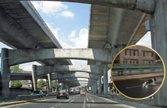 Perrito corre en segundo piso del Periférico y genera alarma en CDMX