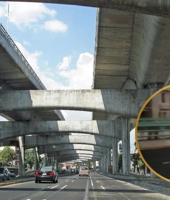 Perrito corre en segundo piso del Periférico y genera alarma en CDMX