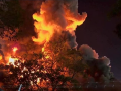 Tragedia en Tabasco: Controlan incendio y lamentan pérdidas humanas Un incendio en Tabasco deja cinco víctimas; las autoridades inician apoyo a familias damnificadas. Los detalles de la tragedia.