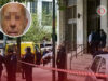 Tiroteo en Atenas: un hombre armado ataca oficina y tribunal Sigue los detalles del tiroteo en Atenas, donde un hombre armado dejó cinco heridos y logró escapar.