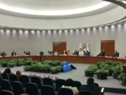 IEEM aprueba redistribución de financiamiento para nuevo partido local El IEEM ha dado luz verde a la redistribución del financiamiento que permite la entrada de un nuevo partido local en el estado.