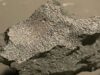 Meteorito en Nueva Jersey ofrece vislumbres del origen de la vida Un reciente hallazgo en Nueva Jersey podría ofrecer claves sobre los inicios de la vida en la Tierra.