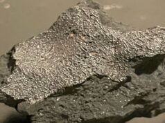 Meteorito en Nueva Jersey ofrece vislumbres del origen de la vida Un reciente hallazgo en Nueva Jersey podría ofrecer claves sobre los inicios de la vida en la Tierra.