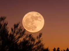 Descubre cuándo será la Luna de Ciervo 2026 en México Conoce la fecha y hora exactas para disfrutar de la Luna de Ciervo 2026 en México, un fenómeno astronómico único.
