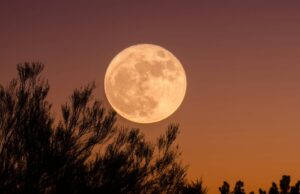Descubre cuándo será la Luna de Ciervo 2026 en México Conoce la fecha y hora exactas para disfrutar de la Luna de Ciervo 2026 en México, un fenómeno astronómico único.