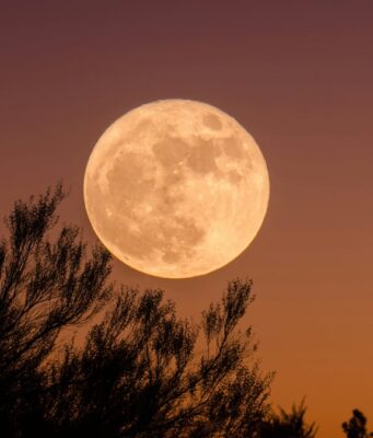 Descubre cuándo será la Luna de Ciervo 2026 en México Conoce la fecha y hora exactas para disfrutar de la Luna de Ciervo 2026 en México, un fenómeno astronómico único.