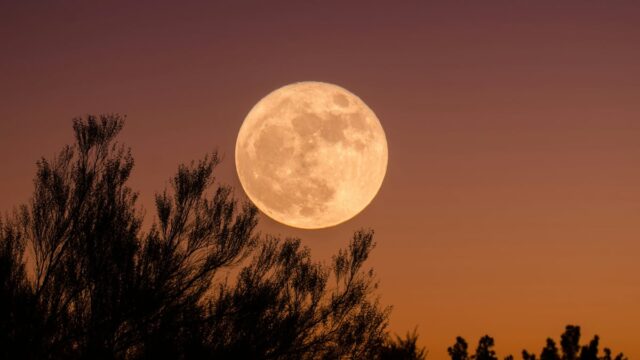 Conoce la fecha y hora exactas para disfrutar de la Luna de Ciervo 2026 en México, un fenómeno astronómico único.