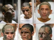 El Salvador culmina juicio masivo contra líderes de la MS-13 Concluye el proceso judicial que involucra a cabecillas de la MS-13 en El Salvador, marcando un hito en su historia.