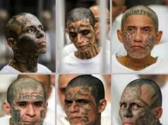 El Salvador culmina juicio masivo contra líderes de la MS-13 Concluye el proceso judicial que involucra a cabecillas de la MS-13 en El Salvador, marcando un hito en su historia.