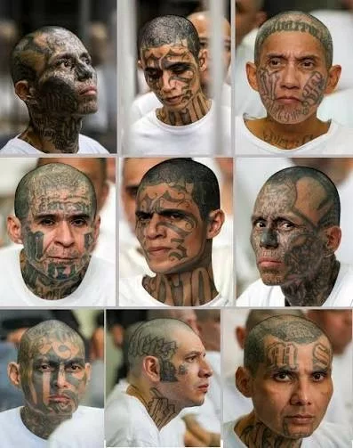 el-salvador-culmina-juicio-masivo-contra-lideres-de-la-ms-13 Concluye el proceso judicial que involucra a cabecillas de la MS-13 en El Salvador, marcando un hito en su historia.