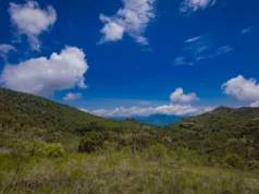 La conservación del suelo y su relación con la resiliencia alimentaria en México Conservar el suelo es fundamental para la seguridad alimentaria y la resiliencia ante el cambio climático en México.