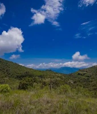 La conservación del suelo y su relación con la resiliencia alimentaria en México Conservar el suelo es fundamental para la seguridad alimentaria y la resiliencia ante el cambio climático en México.