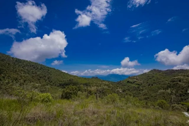 la-conservacion-del-suelo-y-su-relacion-con-la-resiliencia-alimentaria-en-mexico Conservar el suelo es fundamental para la seguridad alimentaria y la resiliencia ante el cambio climático en México.