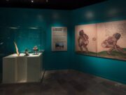 El juego de pelota en Tenochtitlan: una exposición histórica y cultural Descubre la fascinante exposición que analiza el juego de pelota en Tenochtitlan a través de más de 100 piezas arqueológicas.