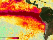 El Niño se intensifica y afecta nuestra música y cultura pop La ONU advierte sobre el fenómeno de El Niño, que tendrá un fuerte impacto en la cultura y la música.