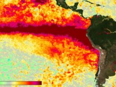 El Niño se intensifica y afecta nuestra música y cultura pop La ONU advierte sobre el fenómeno de El Niño, que tendrá un fuerte impacto en la cultura y la música.