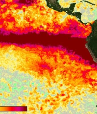 El Niño se intensifica y afecta nuestra música y cultura pop La ONU advierte sobre el fenómeno de El Niño, que tendrá un fuerte impacto en la cultura y la música.