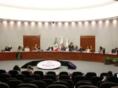 IEEM Avanza en la Organización del Proceso Electoral Mexicano El IEEM ha aprobado acuerdos clave para el desarrollo del proceso electoral en el Estado de México que definirán su rumbo.