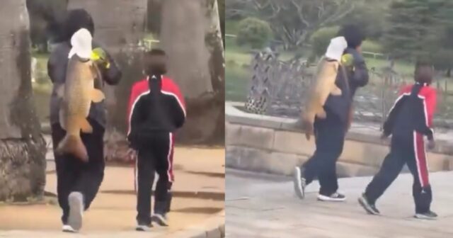 Una mujer causa polémica en Sídney al sacar un pez invasor de un parque, generando respuestas de las autoridades locales.